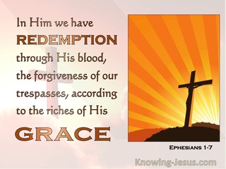 Ephesians 1:7 In Whom We Have The Forgiveness Of Sins (orange)